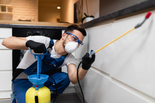 Professional Pest Control in Little Cypress, TX