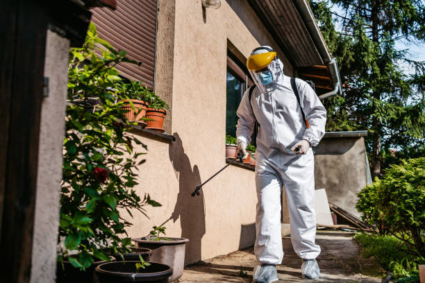 Best Pest Control Near Me  in Little Cypress, TX