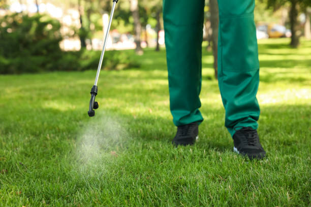 Best Bird Control  in Little Cypress, TX