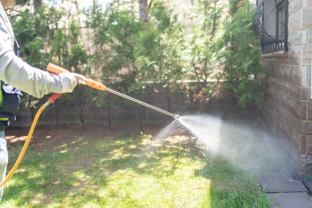 Best Pest Prevention Services  in Little Cypress, TX