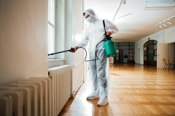 Best Best Pest Control Companies  in Little Cypress, TX