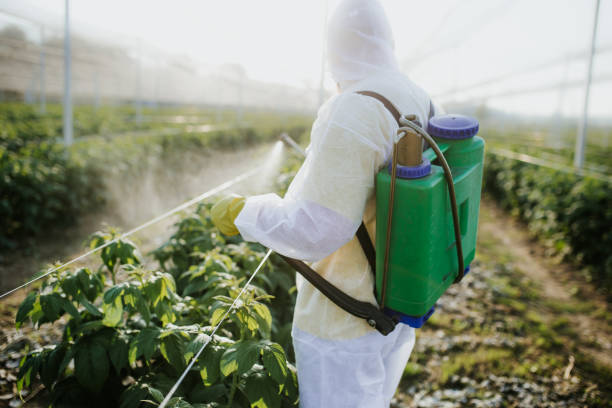 Best Emergency Pest Control  in Little Cypress, TX